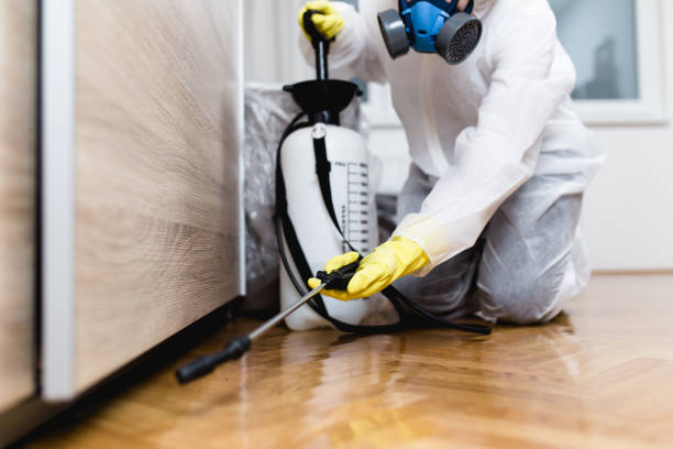 Best Pest Control for Homes  in Nooksack, WA