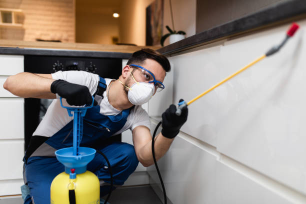 Best Pest Control Treatment  in Nooksack, WA