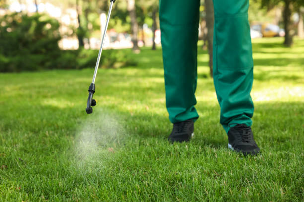 Best Mosquito Control Services  in Nooksack, WA