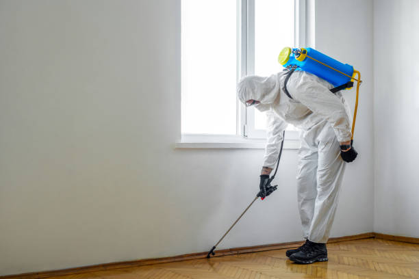 Best Pest Prevention Services  in Nooksack, WA