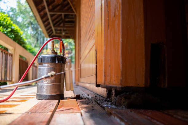 Best Best Pest Control Near Me  in Nooksack, WA