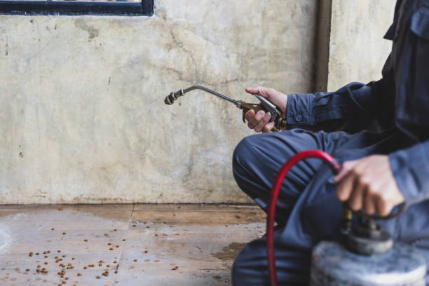 Best Local Pest Control Services  in Nooksack, WA